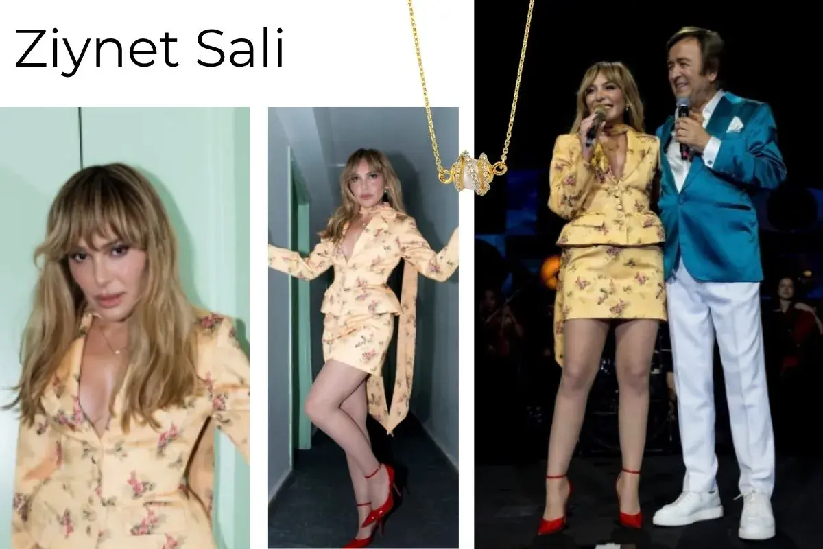 Ziynet Sali Konser Sahne Linya Takıları