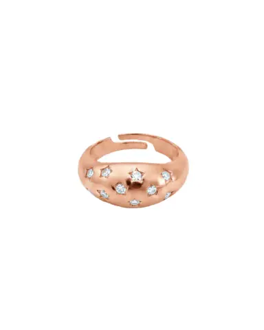 14 Ayar Rose Gold